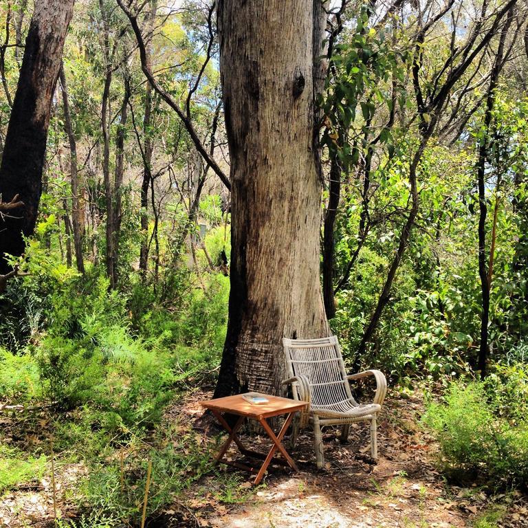 Wilderness House Bed & Breakfast Margaret River Phòng bức ảnh